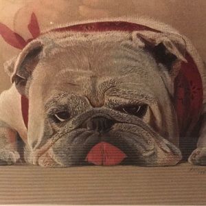 Meet your Posher, Argentum